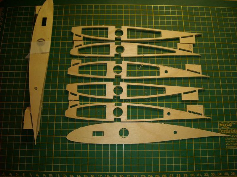 comp_SL Wurzelrippen.jpg